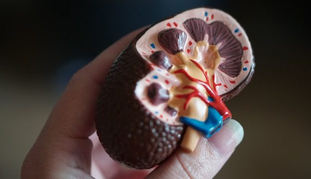 Chronic Kidney Disease: What You Need to Know