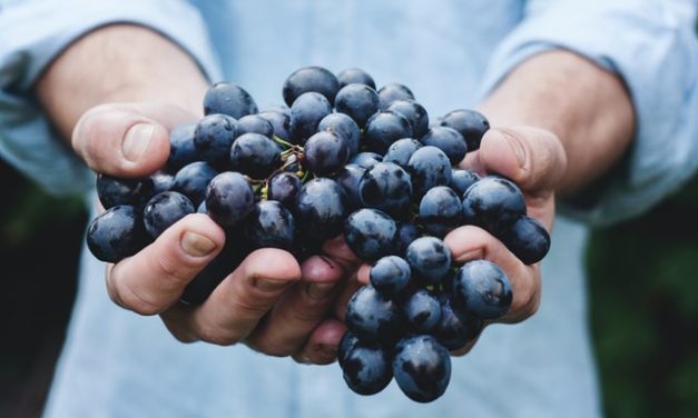 The Surprising Truth About Grapes and Weight Loss