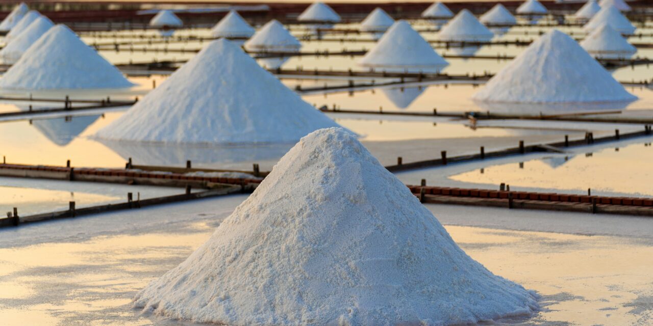 Study Links Habitual Salt Intake to Increased Risk of Chronic Kidney Disease