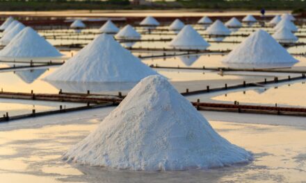 Study Links Habitual Salt Intake to Increased Risk of Chronic Kidney Disease